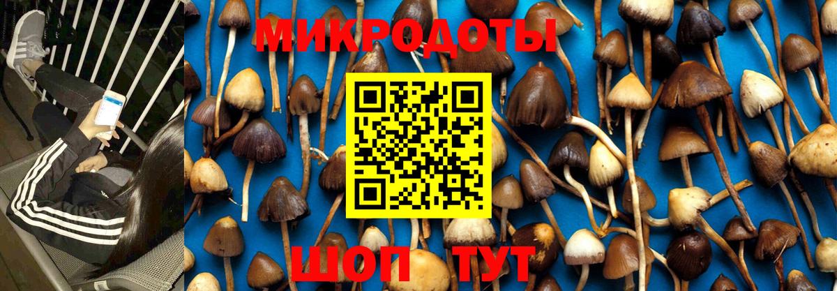 где найти   Псилоцибиновые грибы Psilocybe  Псилоцибиновые грибы Psilocybe  Вход с VPN  Урай 
